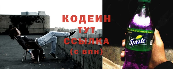 хмурый Белокуриха