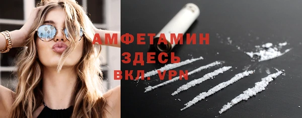 хмурый Белокуриха
