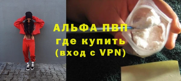 хмурый Белокуриха