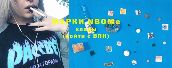 хмурый Белокуриха