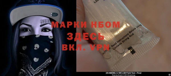 хмурый Белокуриха
