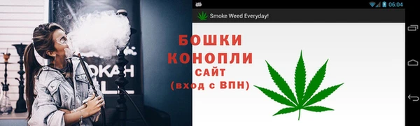 хмурый Белокуриха