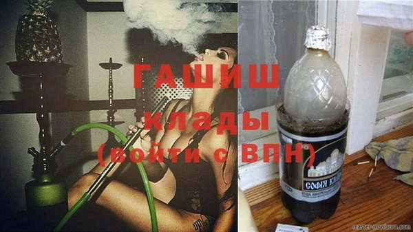 хмурый Белокуриха