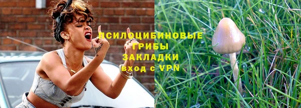 хмурый Белокуриха