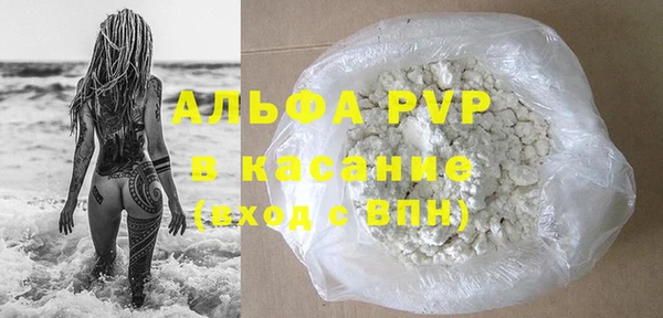 хмурый Белокуриха
