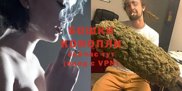 хмурый Белокуриха