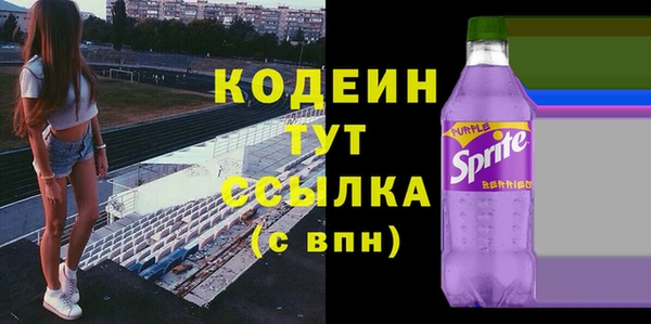 хмурый Белокуриха